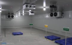 安徽古芝堂靈芝儲(chǔ)藏冷庫安裝建造